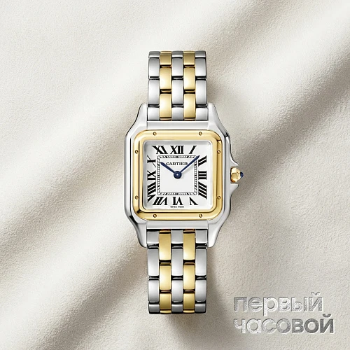 Panthere De Cartier Medium Steel And Yellow Gold