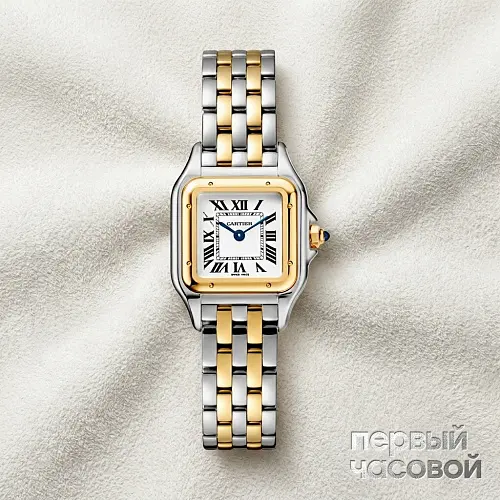 Panthere De Cartier Small Steel And Yellow Gold