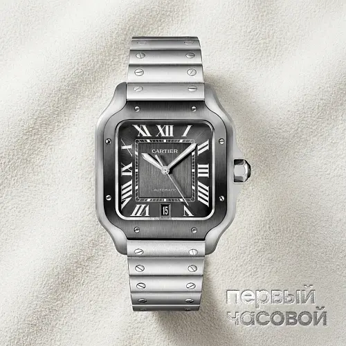 Santos De Cartier Black Pvd Dial