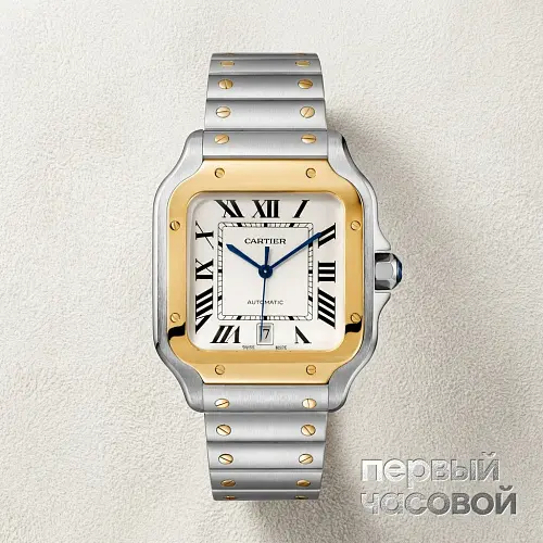 Santos De Cartier Steel Yellow Gold