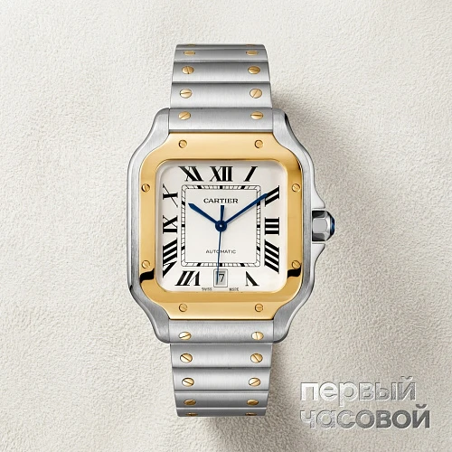 Santos De Cartier Steel Yellow Gold