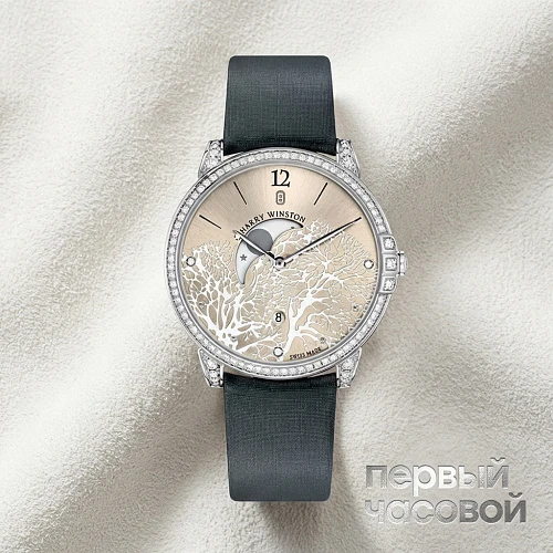 Midnight Moon Phase