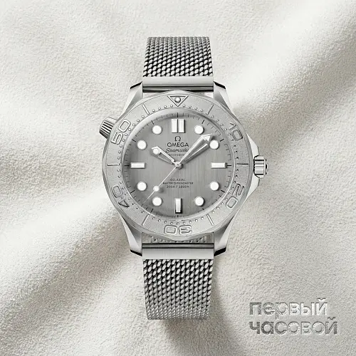 Seamaster Diver 300M