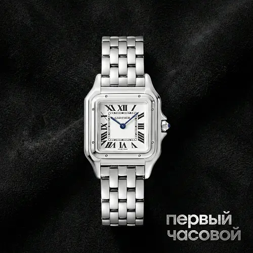 Medium Panthere De Cartier Steel