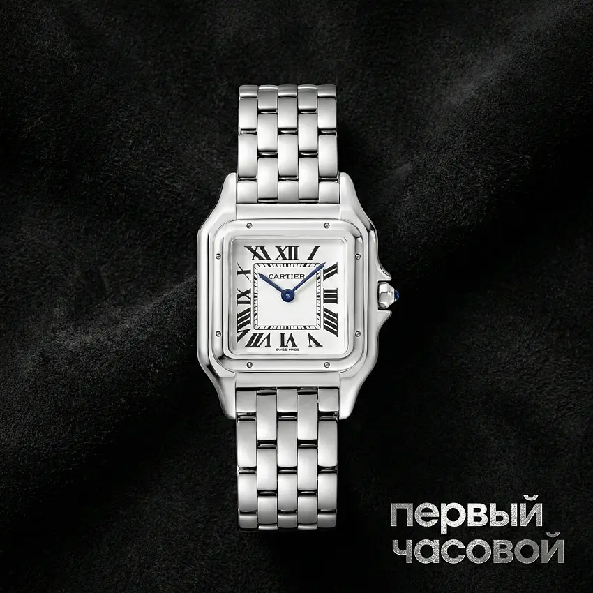 Medium Panthere De Cartier Steel