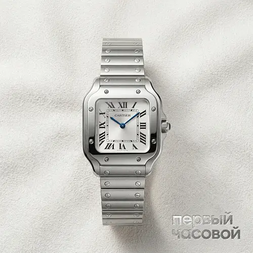 Santos De Cartier Small Model Silver Dial