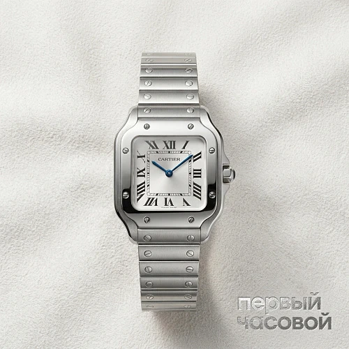 Santos De Cartier Small Model Silver Dial