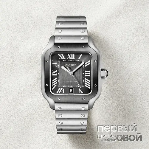 Santos De Cartier Adlc Black Dial