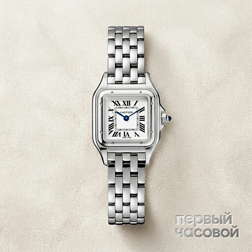 Panthere De Cartier Steel Small
