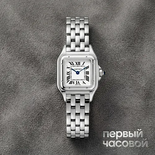Panthere De Cartier Steel Small