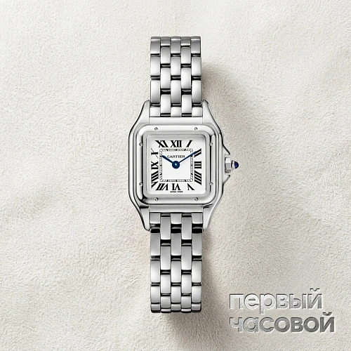Panthere De Cartier Steel Small