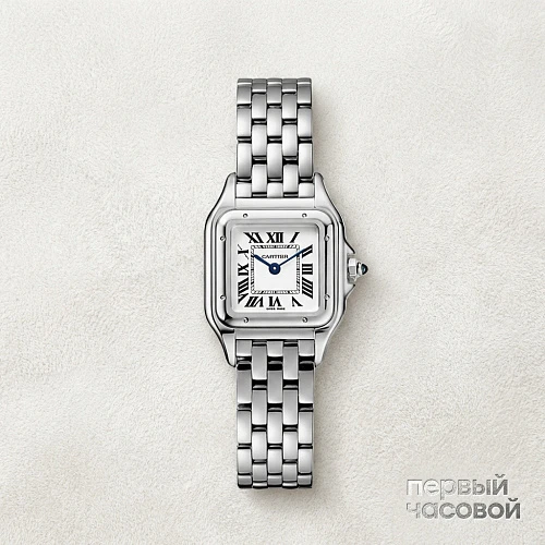 Panthère De Cartier Steel Small Size 22 X 30 Mm