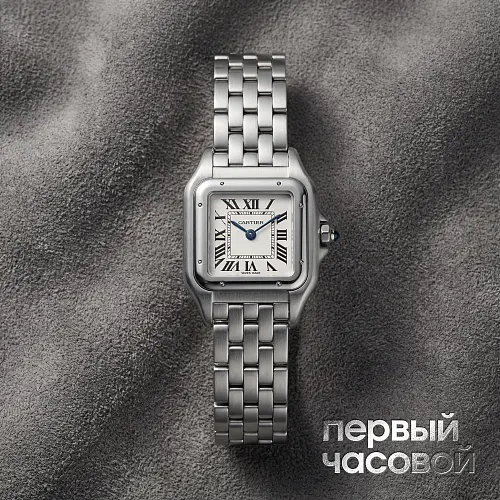 Panthere De Cartier Steel Small