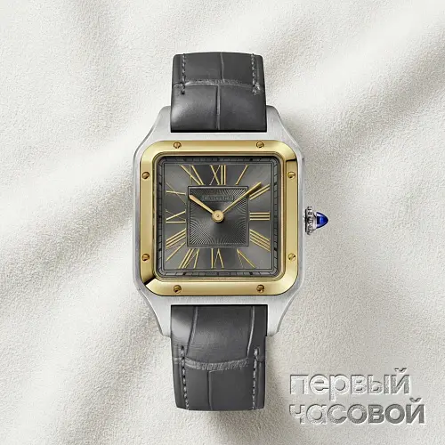 Santos-Dumont Watch