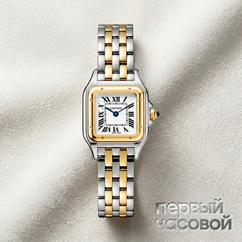 Panthere De Cartier Small Steel And Yellow Gold