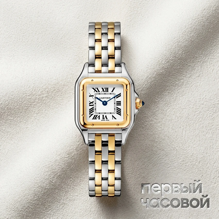 Panthere De Cartier Small Steel And Yellow Gold
