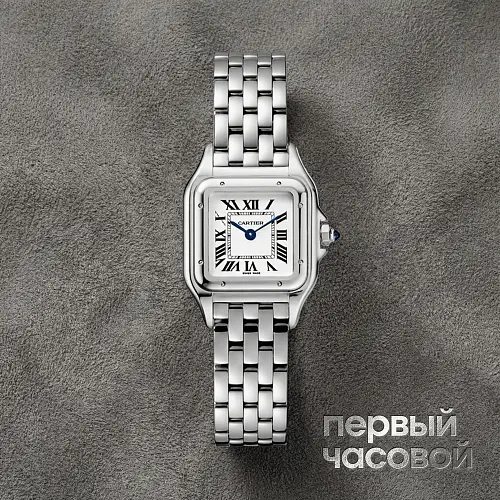 Panthere De Cartier Steel Small