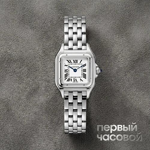 Panthere De Cartier Steel Small
