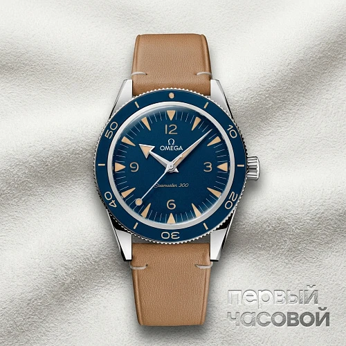 Seamaster 300 Co-Axial Master Chronometer 41 Mm