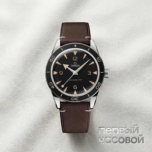 Seamaster 300 Co-Axial Master Chronometer 41 mm