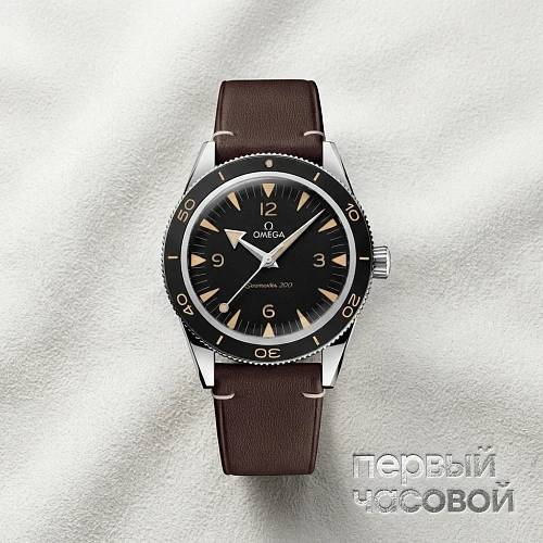 Seamaster 300 Co-Axial Master Chronometer 41 Mm