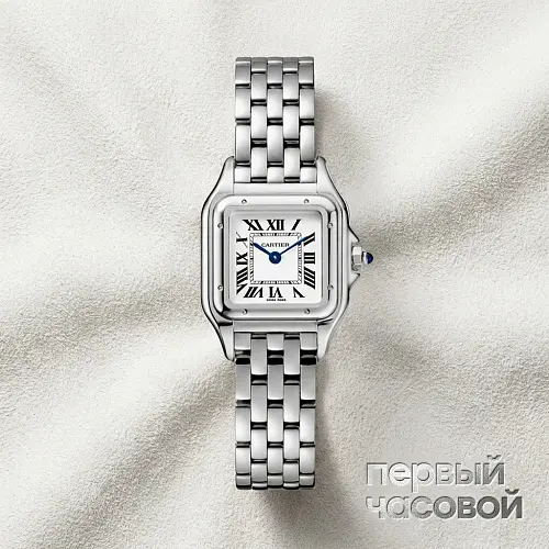 Panthere De Cartier Steel Small