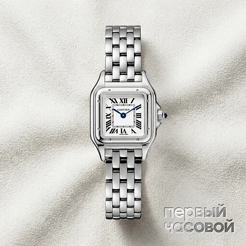Panthere De Cartier Steel Small