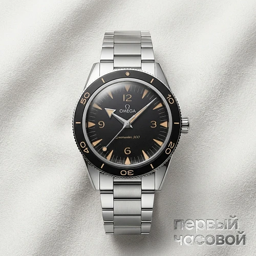 Seamaster 300 Co-Axial Master Chronometer 41 Mm