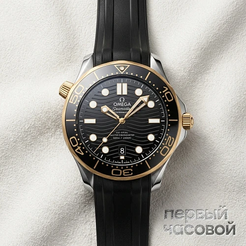 Seamaster Diver 300 m Co-axial Chronometer 42 mm