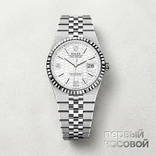 Land Dweller 36 mm Steel