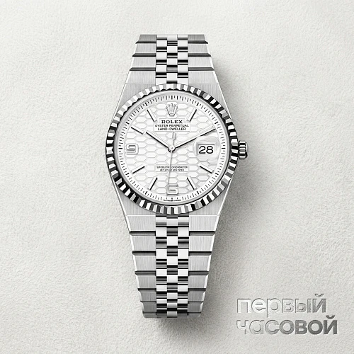Land Dweller 36 mm Steel