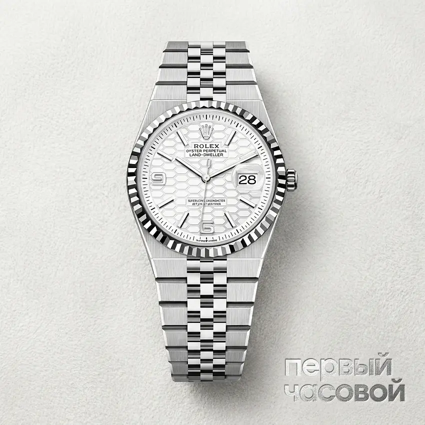 Land Dweller 36 mm Steel