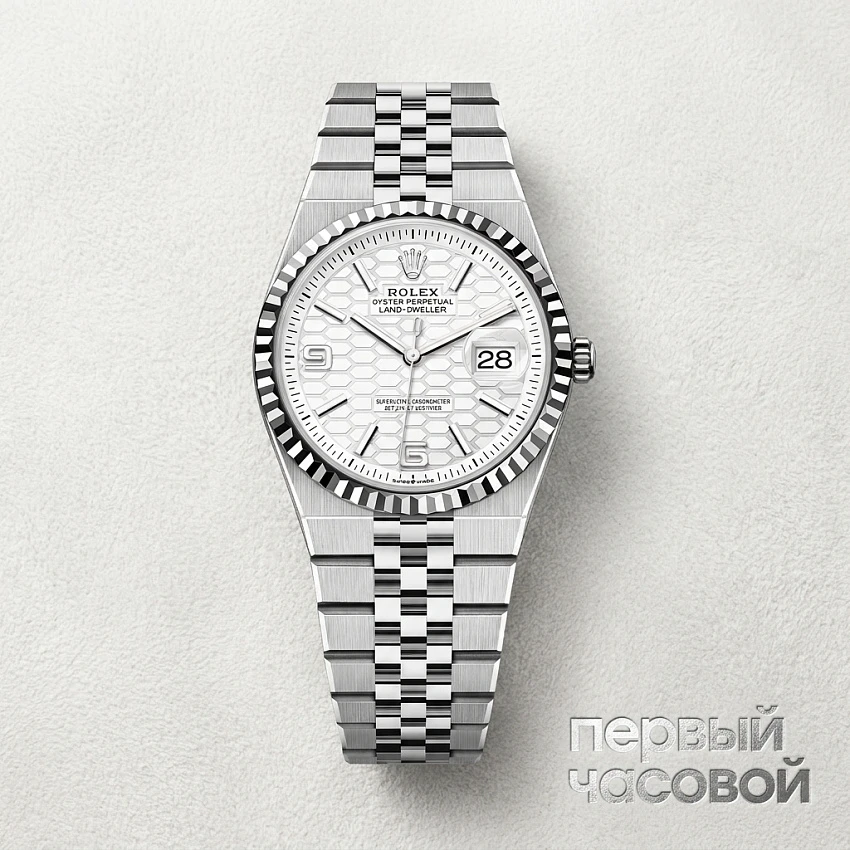 Land Dweller 36 mm Steel