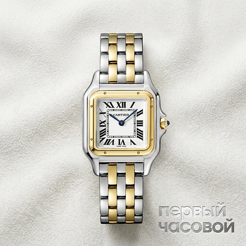 Panthere de  Watch