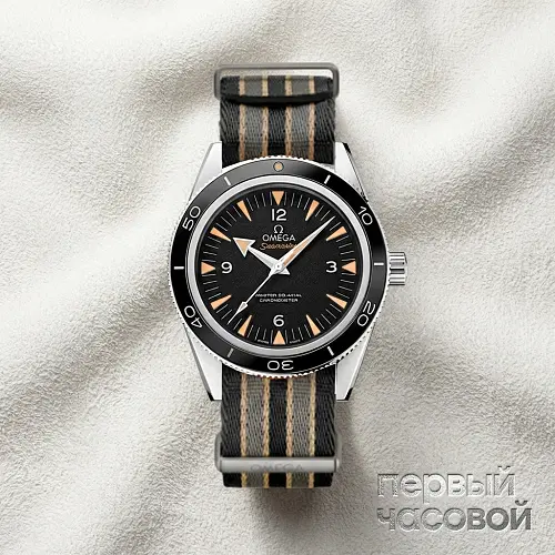 Seamaster 300 41 Mm