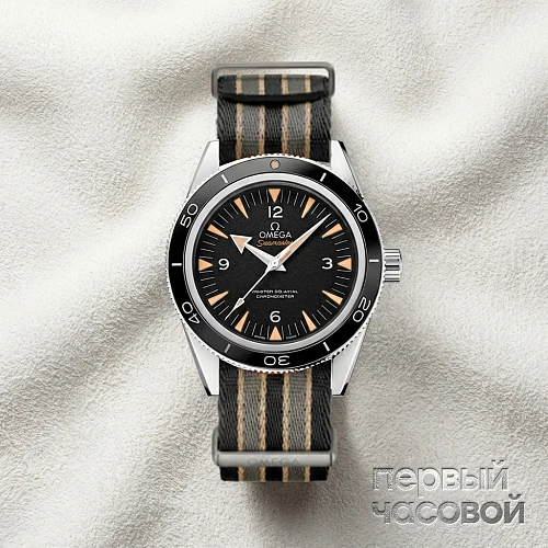 Seamaster 300 41 Mm