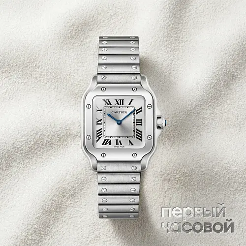 Santos De Cartier Small Model Silver Dial