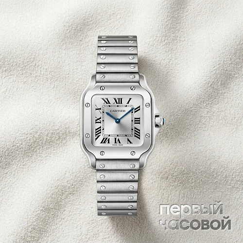 Santos De Cartier Small Model Silver Dial