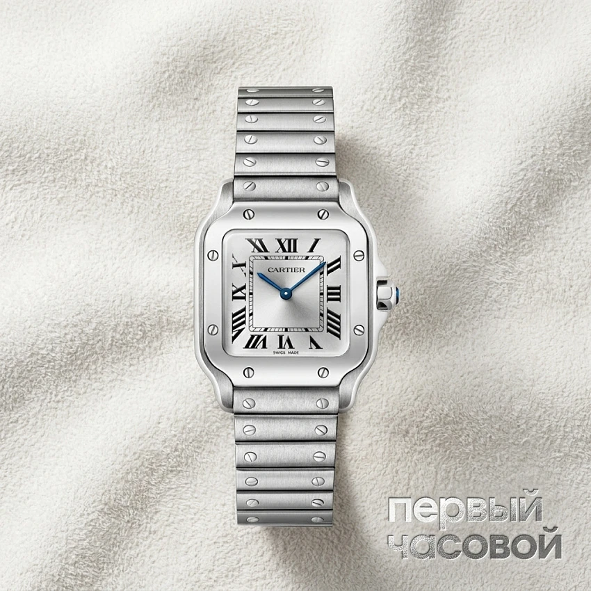 Santos De Cartier Small Model Silver Dial