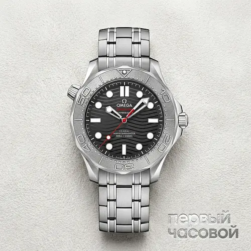 Seamaster Diver 300 M Co-Axial Master Chronometer 42 Mm