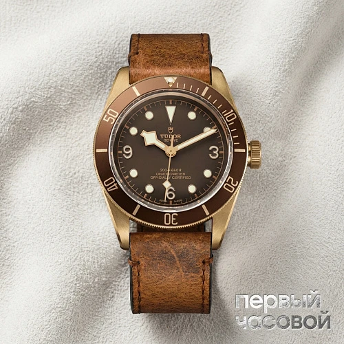 Heritage Black Bay Bronze