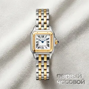 Cartier Panthere De Cartier Small Steel And Yellow Gold