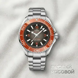 Omega Planet Ocean 6000M Co-Axial Master Chronometer 45.5 mm